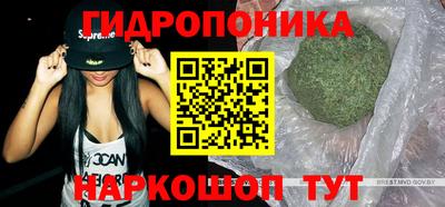 прущие крисы Абакан