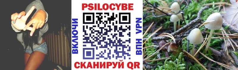 Галлюциногенные грибы Cubensis  сколько стоит  Котельники 