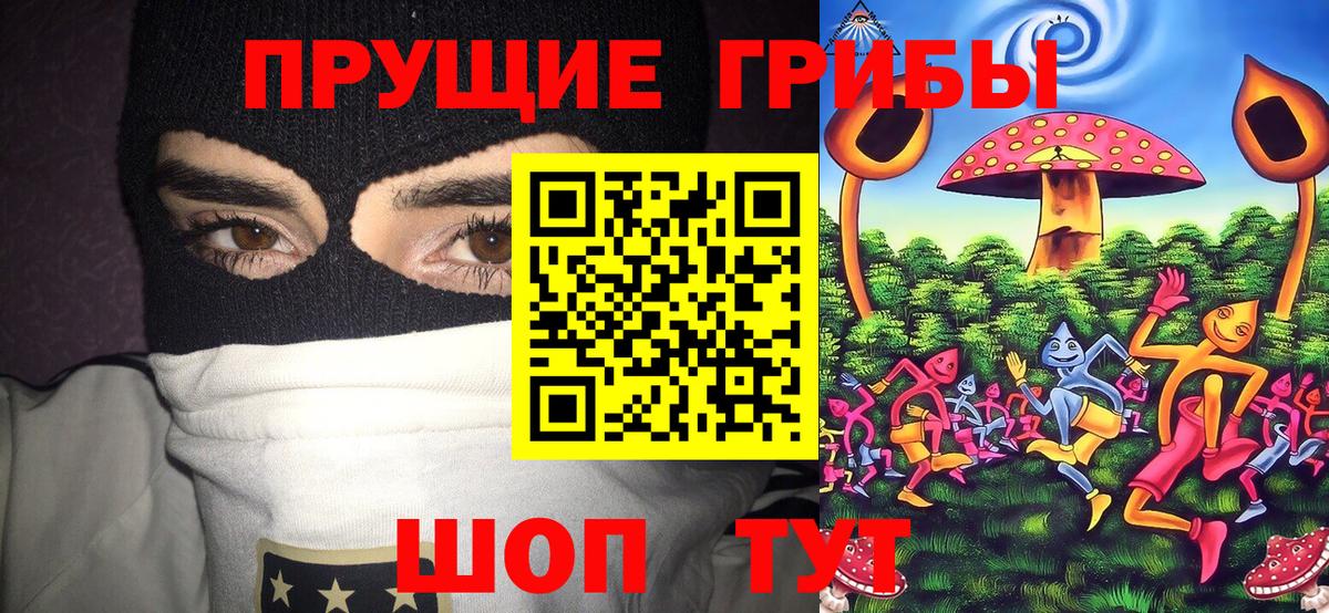 Псилоцибиновые грибы Psilocybine cubensis Котельники