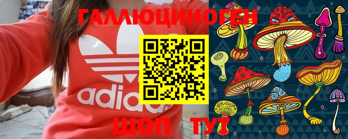 Псилоцибиновые грибы прущие грибы  закладки  Котельники  Псилоцибиновые грибы Psilocybe 