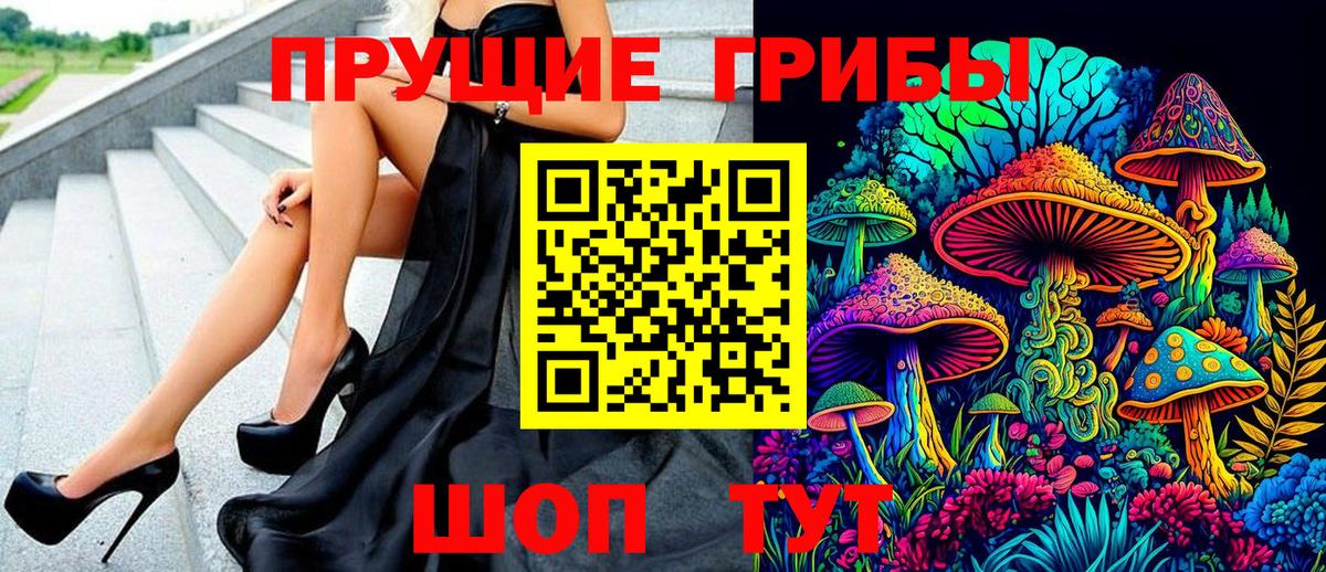 наркота  Галлюциногенные грибы MAGIC MUSHROOMS  Вход с VPN  Псилоцибиновые грибы прущие грибы  Котельники 